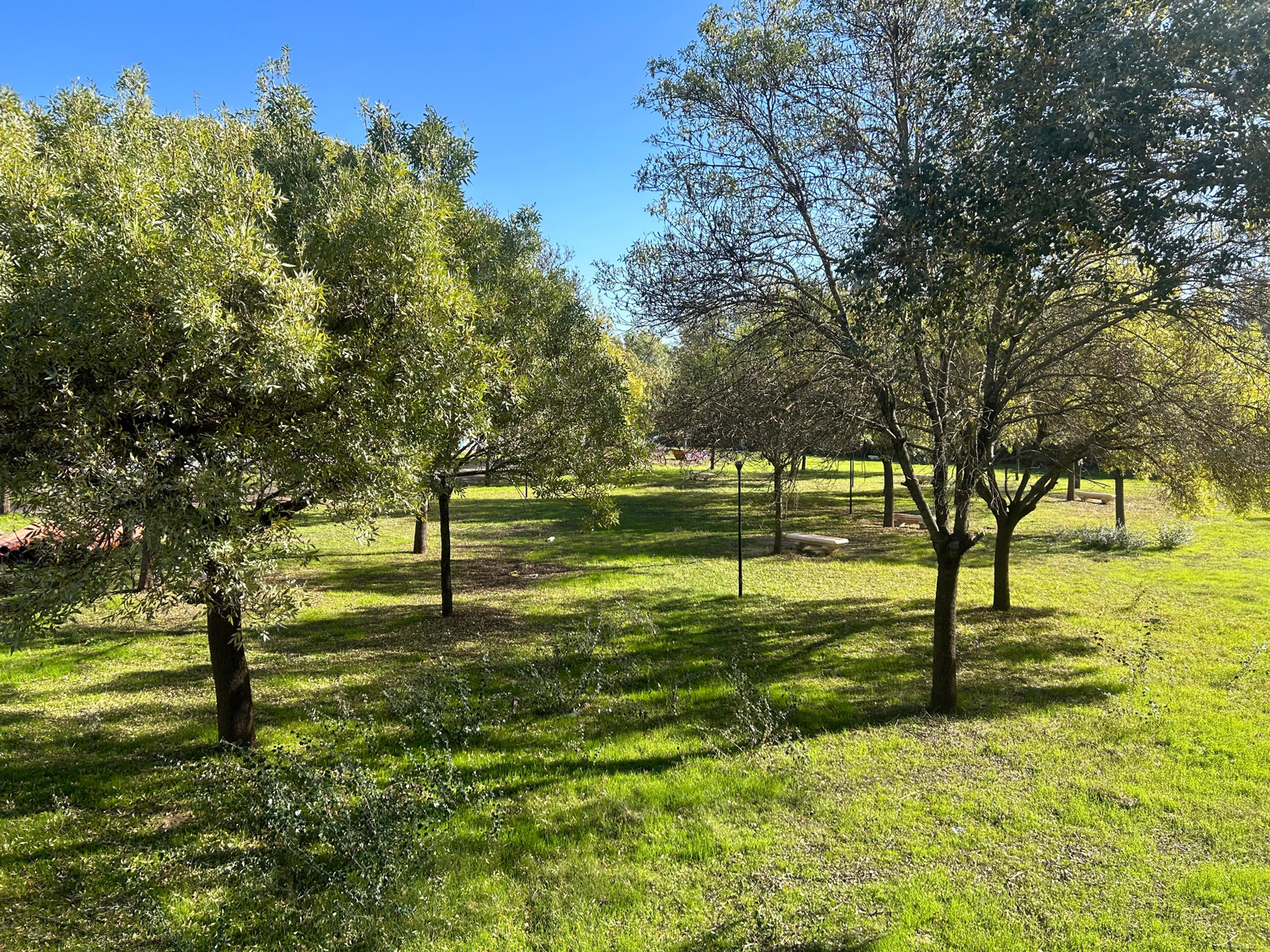 Restauración ambiental y ecológica de la ribera del río Tajo