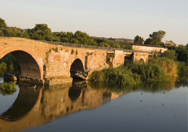 Ruta 03: Río Tajo y Puente del Río Alberche – Ribera del Río