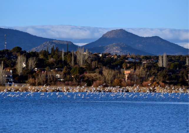 Ruta 07: Cazalegas y Embalse Naturaleza y Paisaje
