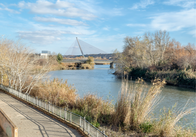 Ruta 09: Talavera la Nueva, El Casar de Talavera y Gamonal