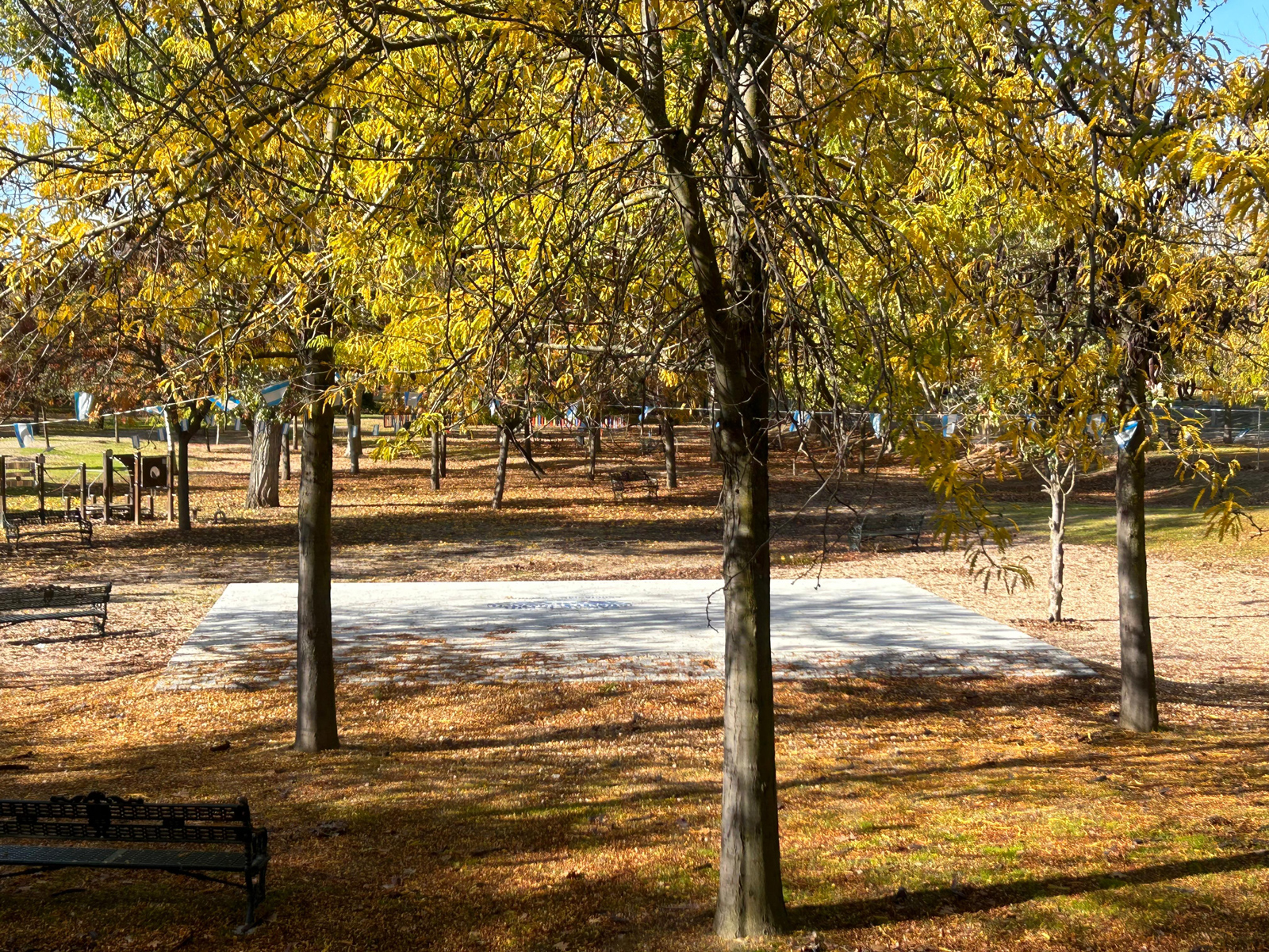 Escenario al aire libre